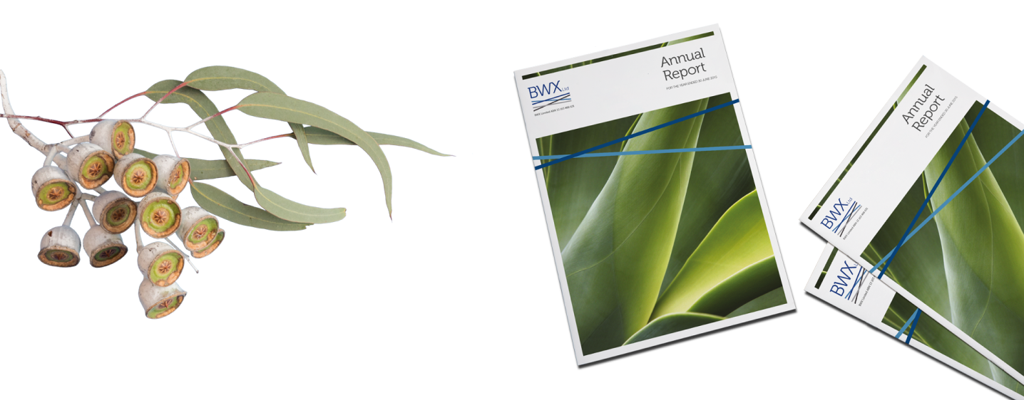 Books,Booklets,Reports page saddle stitch banner